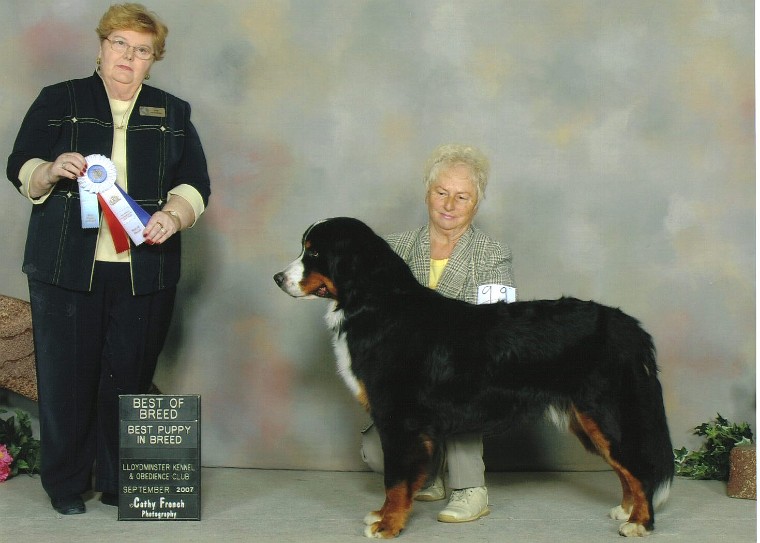 Best Puppy in Group